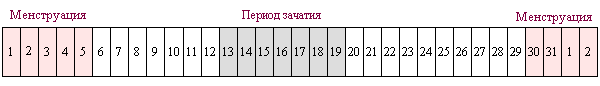 Тридцатидневный цикл